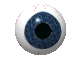 eyeball_e0